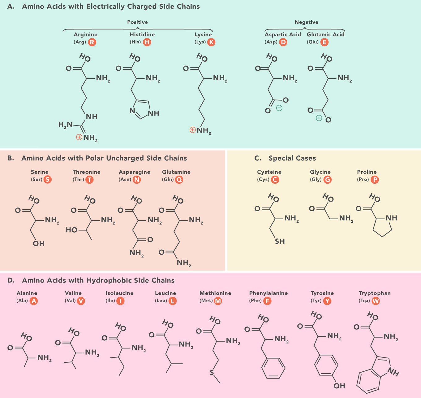 amino_laddad_oladdad