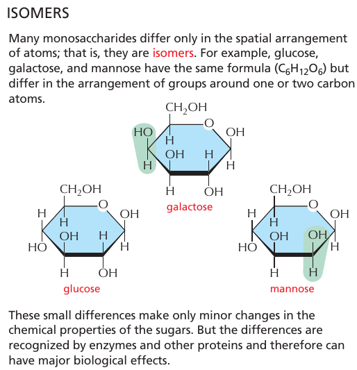 isomer_glukos