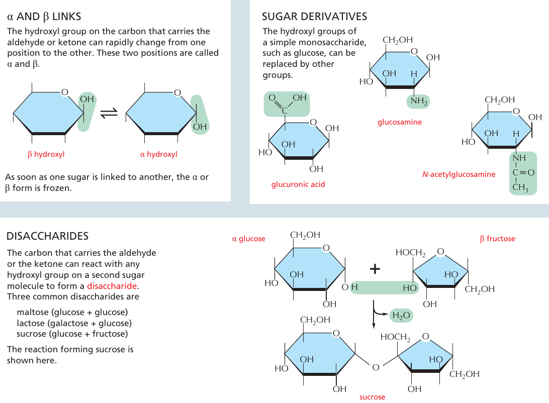 länkat_socker_disackarider