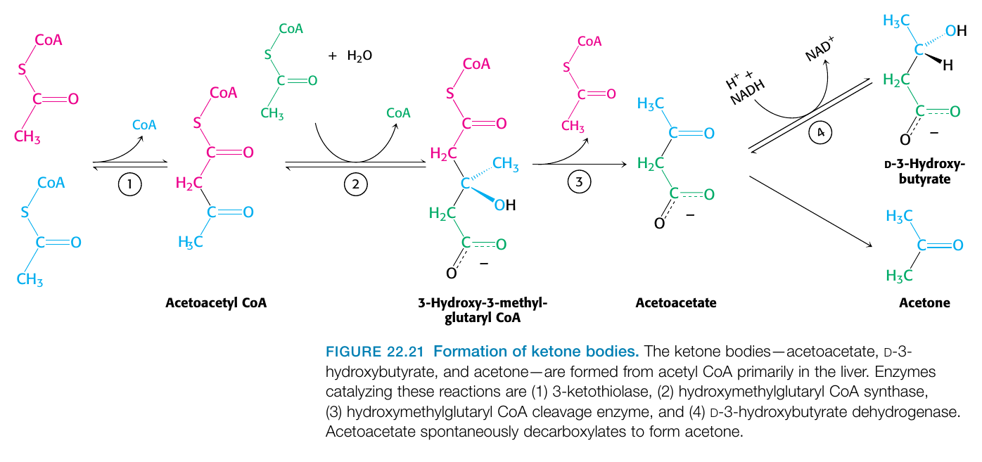 ketonformation