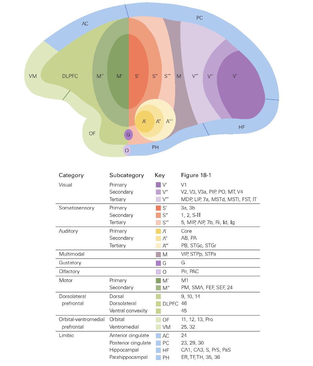 funktionella_områden_barken