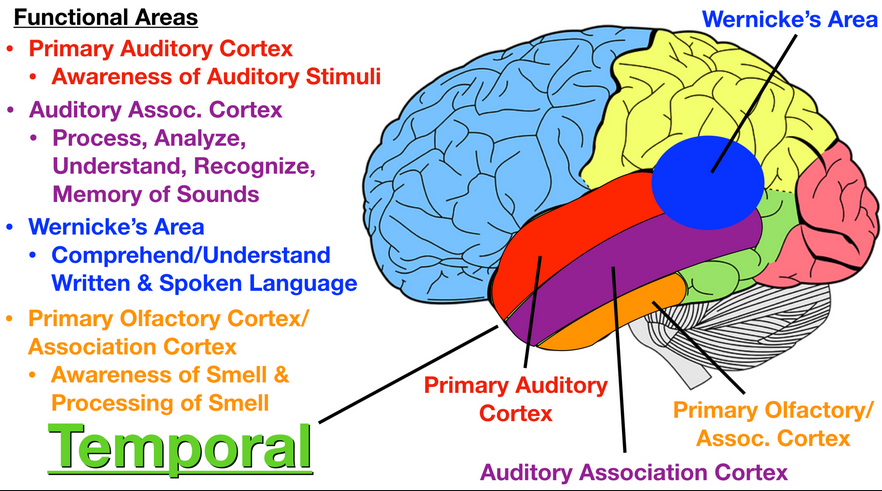 områden_i_temporallob