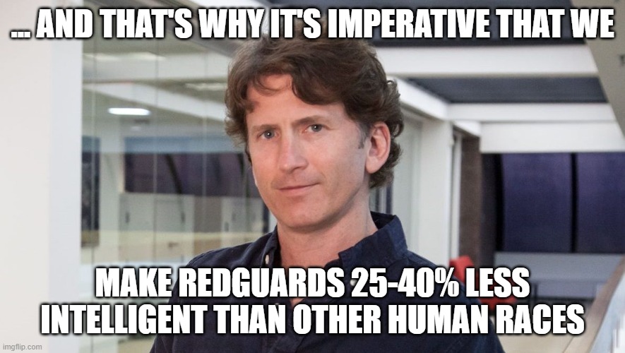 dir/tes/elder_scroll_todd_redguard_iq.jpg